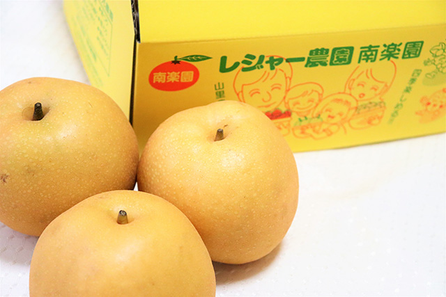 梨/観光農園南楽園(大阪府/堺市)