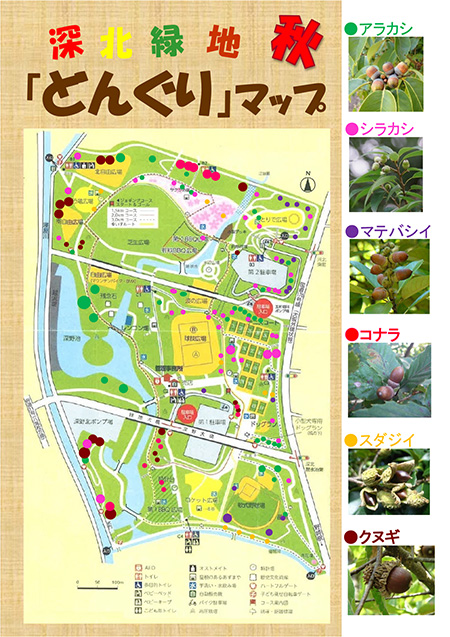 どんぐりマップ/深北緑地(大阪府/大東市)