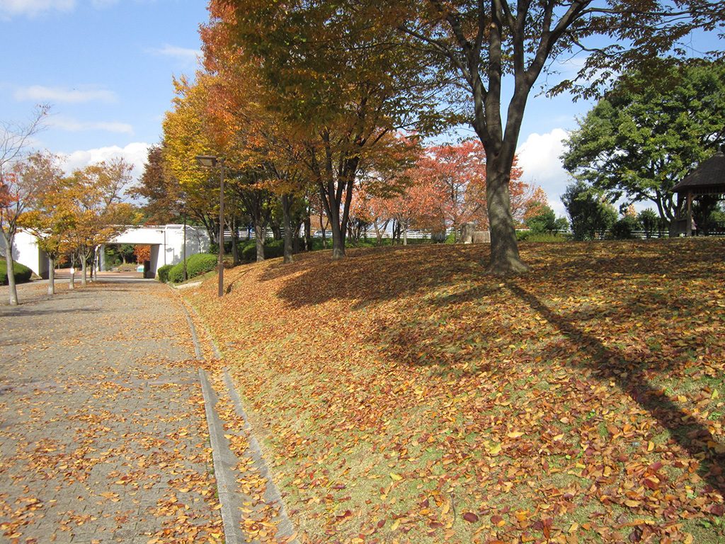 寝屋川公園(大阪府/寝屋川市)