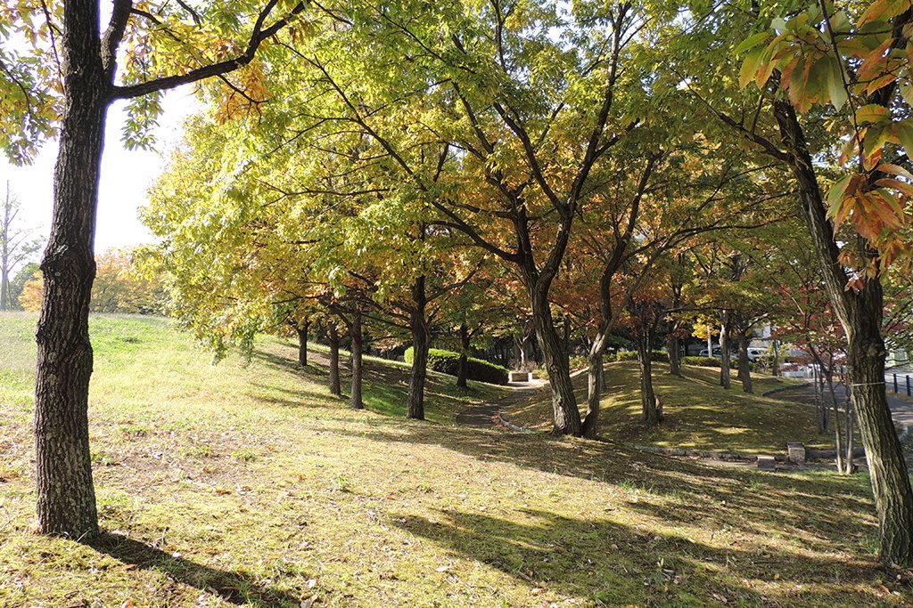 寝屋川公園(大阪府/寝屋川市)