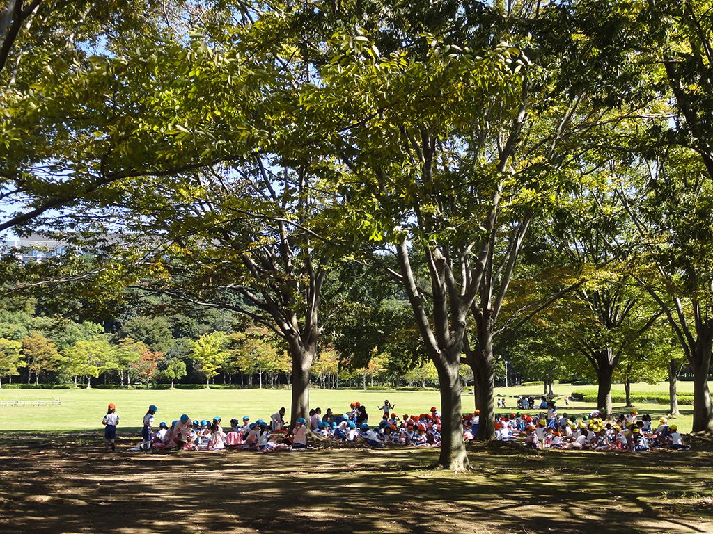 21世紀の森と広場(千葉県/松戸市)