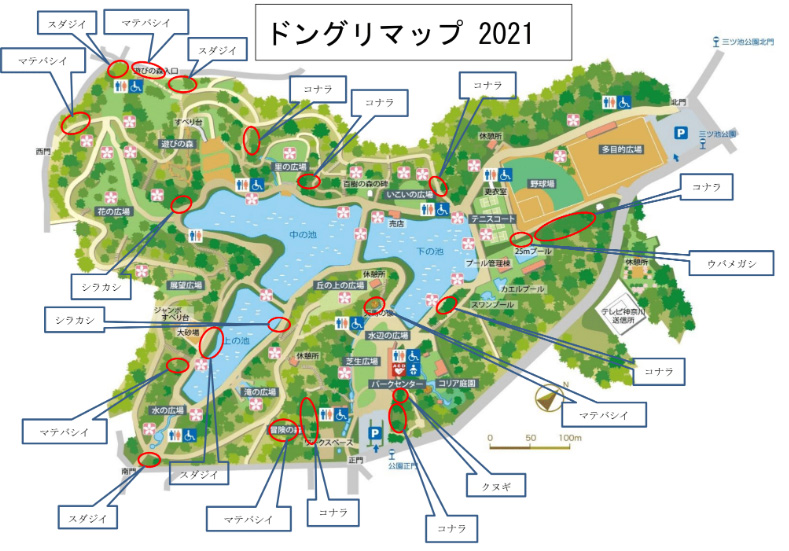 ドングリマップ/県立三ツ池公園(神奈川県/横浜市)