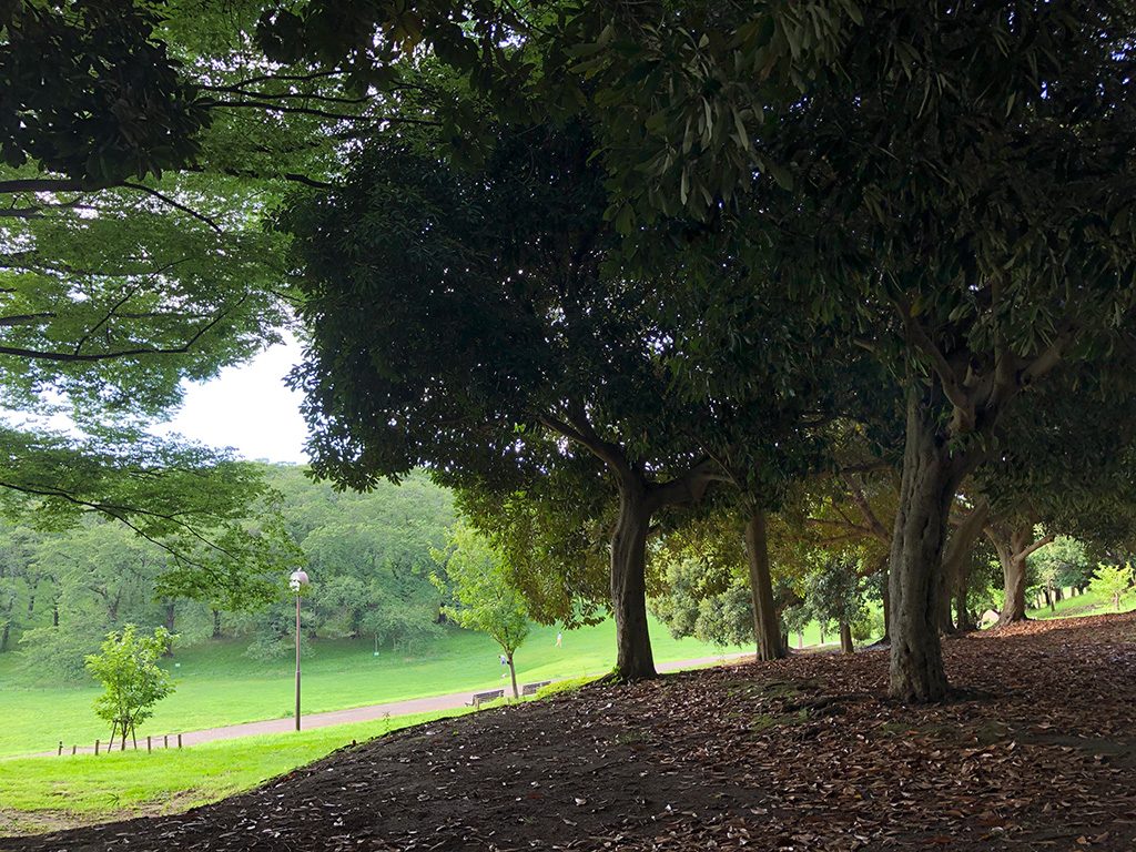 根岸森林公園(神奈川県/横浜市)