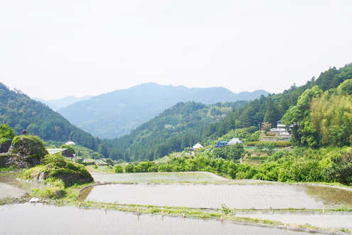 徳島移住生活│徳島県神山町の景色