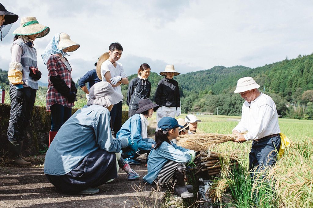 徳島移住生活│フードハブ・プロジェクトの稲刈りの様子