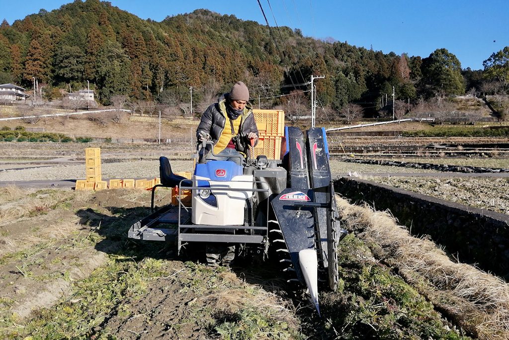 徳島移住生活│農業をする様子