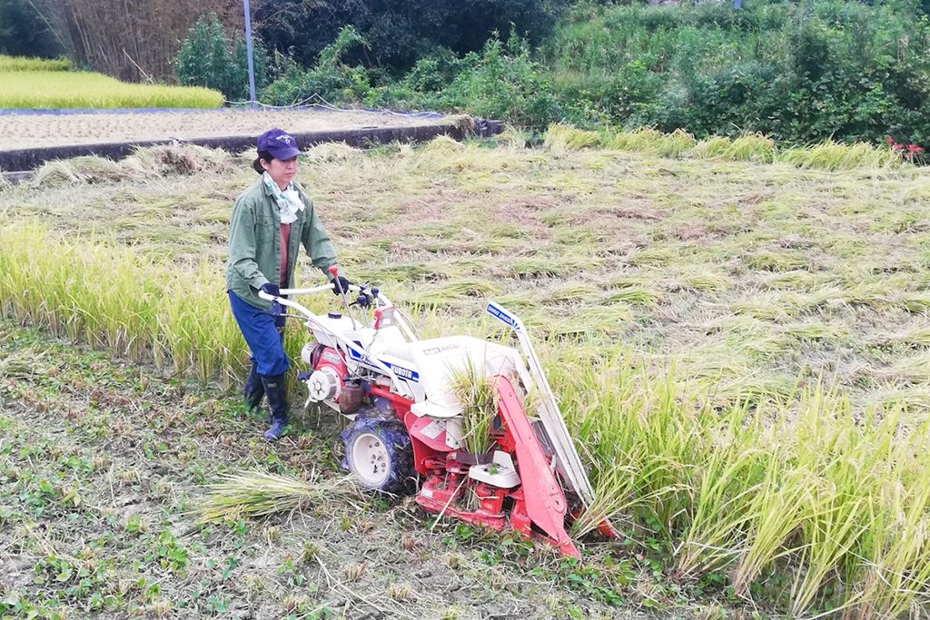 徳島移住生活│一緒に農業をする絵美さん