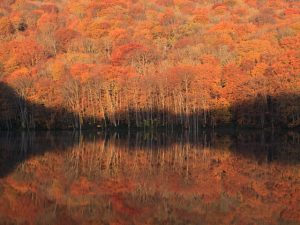 ［東北］秋の絶景！紅葉ハイキング・紅葉散歩のおすすめスポット（～11月中旬）