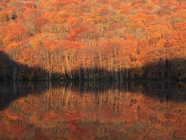 蔦七沼（青森県／十和田市）