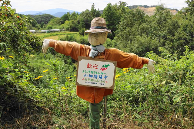案山子の案内板/中政園(大阪府/箕面市)