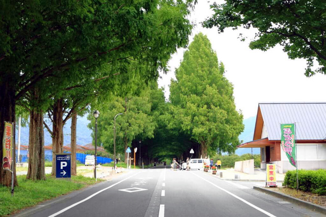 駐車場/マキノピックランド(滋賀県/高島市)