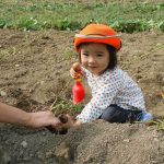 マキノピックランドで栗拾いや芋掘りなど収穫体験！ランチやジェラートも楽しみ