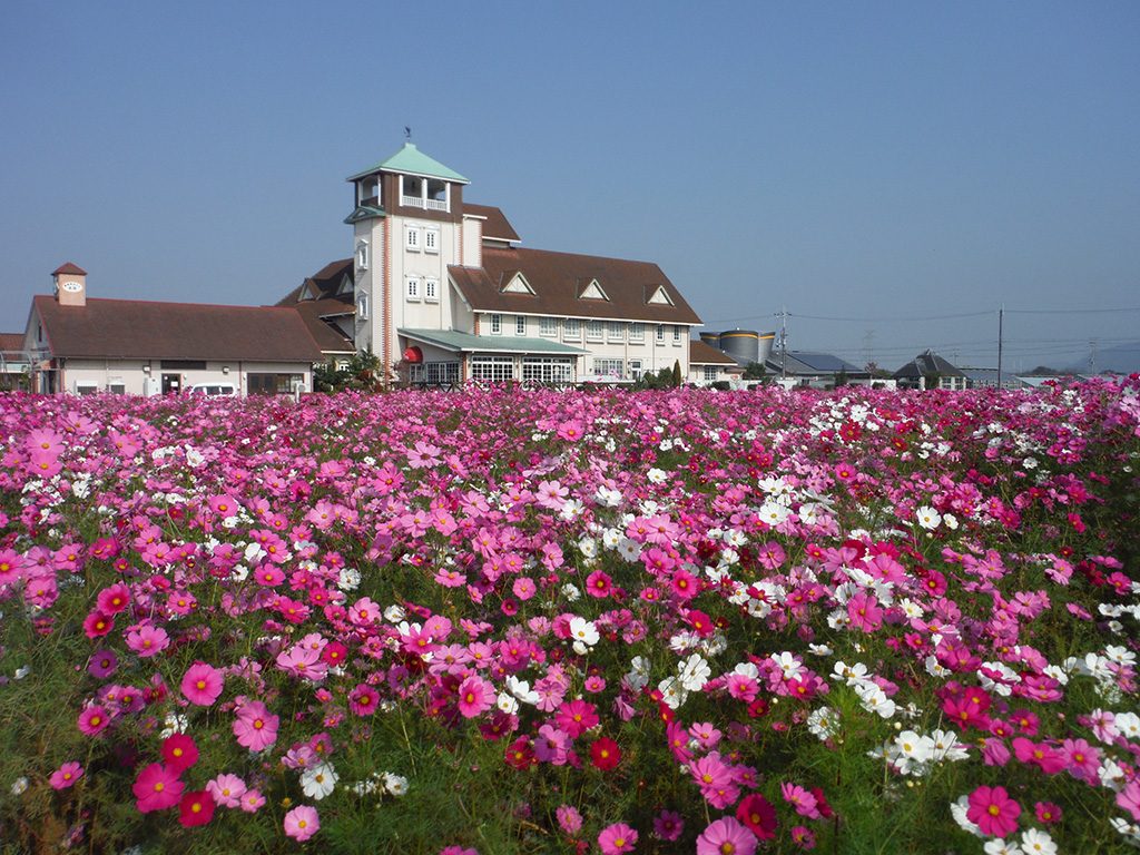 道の駅あいとうマーガレットステーション(滋賀県/東近江市)