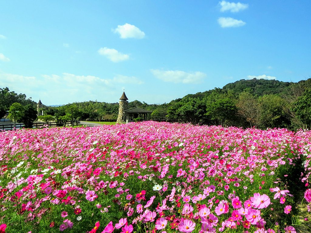 淡路ファームパークイングランドの丘(兵庫県/南あわじ市 )