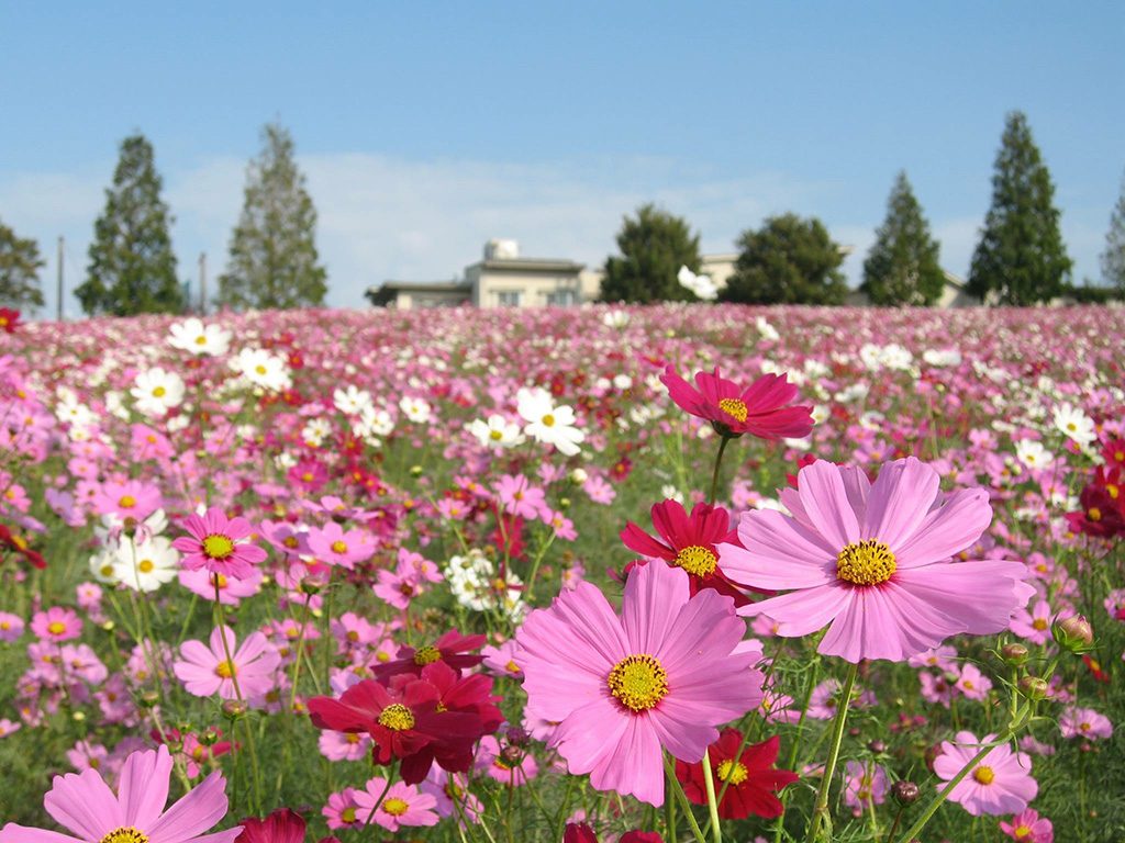 愛知牧場（愛知県/日進市）
