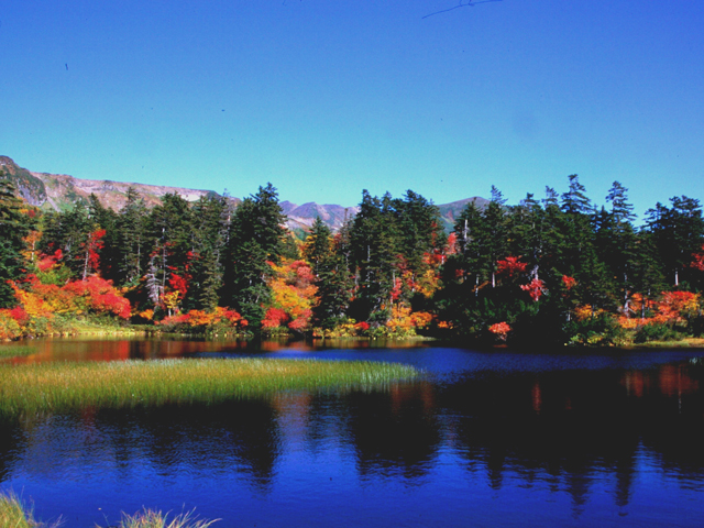 大雪山高原温泉 沼めぐりコース（北海道／上川郡上川町）