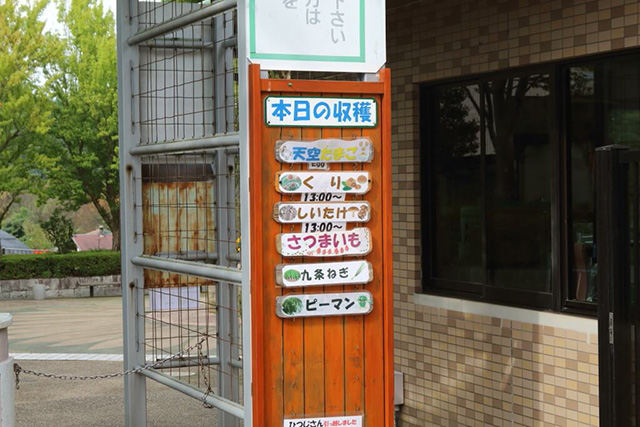 本日収穫できる味覚情報/農業公園 信貴山のどか村(奈良県/三郷町)
