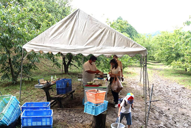 栗園受付け/農業公園 信貴山のどか村(奈良県/三郷町)