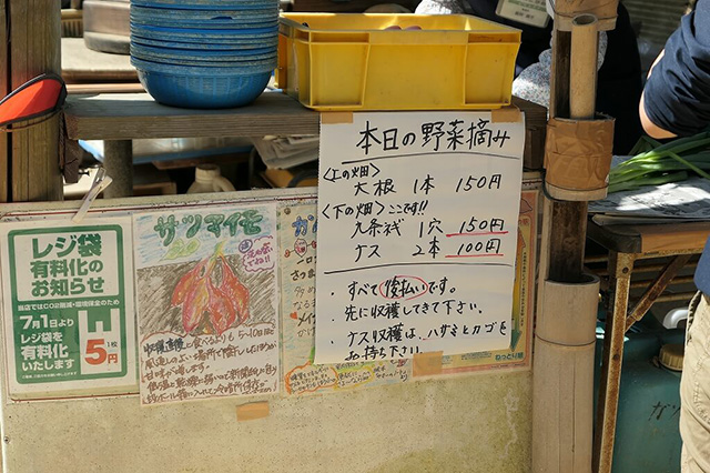 本日の野菜摘みの案内/農業公園 信貴山のどか村(奈良県/三郷町)