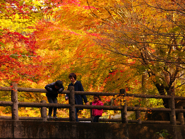 竜門峡（佐賀県／西松浦郡有田町）