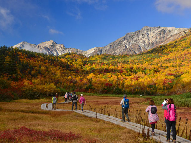 栂池自然園（長野県／北安曇郡小谷村）