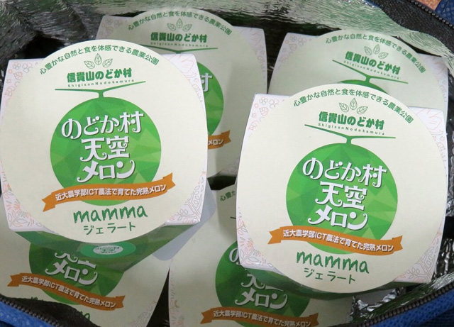 のどか村天空メロンジェラート(1個300円)/農業公園 信貴山のどか村(奈良県/三郷町)