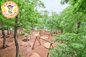 都立最大級に広い野山北・六道山公園(武蔵村山市)でハイキングや里山体験を