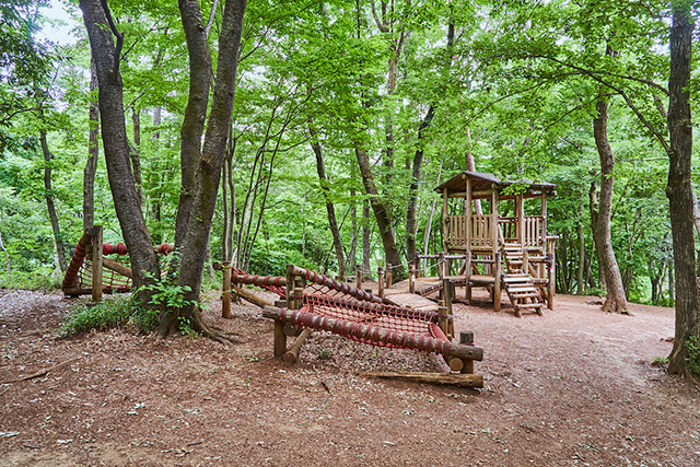 「あそびの森」/野山北・六道山公園(東京都/武蔵村山市)