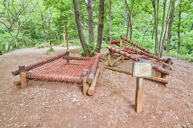 「サクラでおひるね」/野山北・六道山公園(東京都/武蔵村山市)