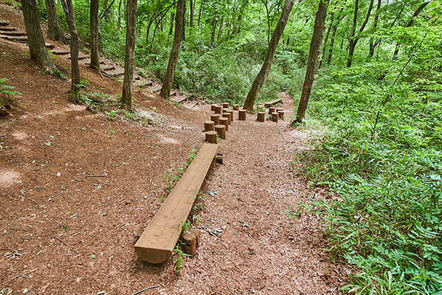 「ネズミの大脱走」/野山北・六道山公園(東京都/武蔵村山市)