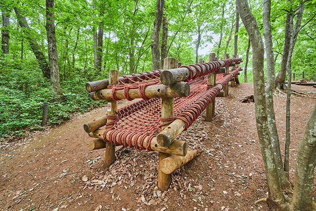 「サンショウウオの谷ごえ」/野山北・六道山公園(東京都/武蔵村山市)