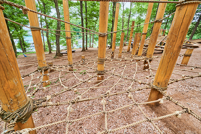 「くも糸渡り」/野山北・六道山公園(東京都/武蔵村山市)