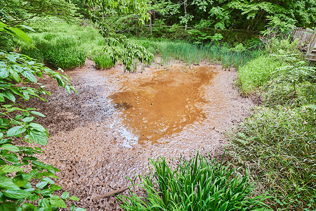 「赤坂谷戸」/野山北・六道山公園(東京都/武蔵村山市)