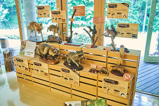 「展示」/野山北・六道山公園(東京都/武蔵村山市)