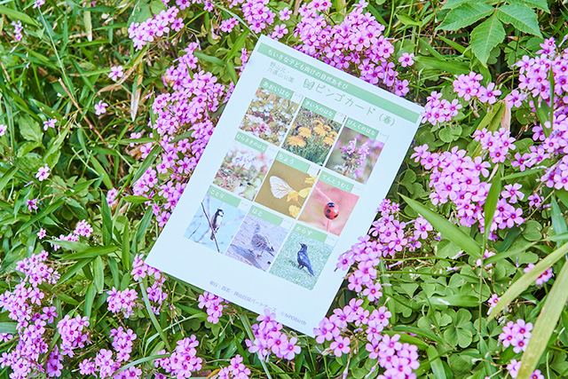 「ビンゴカード」/野山北・六道山公園(東京都/武蔵村山市)