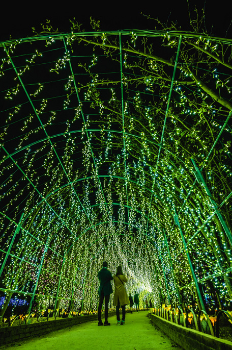 きばな藤のトンネル/20th Anniversary 光の花の庭~Flower Fantasy2021~/あしかがフラワーパーク((栃木県/足利市)