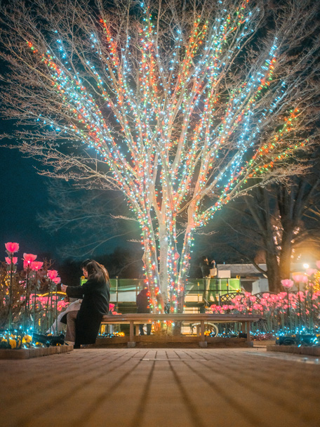 20th Anniversary 光の花の庭~Flower Fantasy2021~/あしかがフラワーパーク((栃木県/足利市)