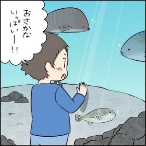 伊勢志摩の海にはどんないきものがいるかな？｜3歳とおでかけ in 鳥羽水族館②