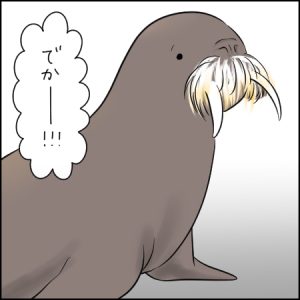 思ったよりずっと近づいてくる、セイウチふれあいタイム｜3歳とおでかけ in 鳥羽水族館④