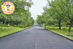 小金井公園(小金井市)はソリゲレンデなど豊富な遊びができる!蒸気機関車の展示も