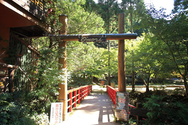 キャンプ場エリアへ向かう橋/大森リゾートキャンプ場(京都府/京都市)