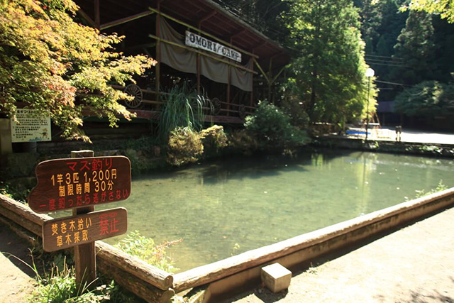 マス釣り/大森リゾートキャンプ場(京都府/京都市)