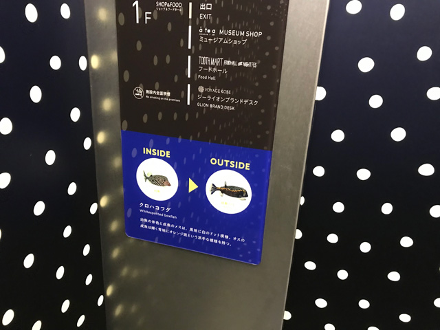 魚の成長について学べる、ユニークなエレベーター／AQUARIUM ✕ ART átoa（兵庫県/神戸市）