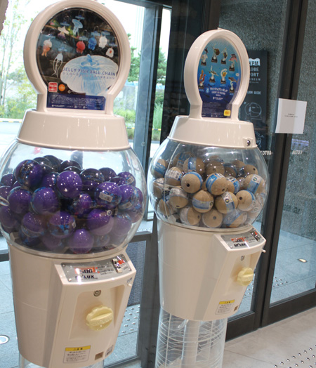 子どもが大好きな海の生き物のガチャガチャ／AQUARIUM ✕ ART átoa（兵庫県/神戸市）