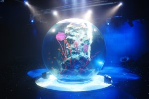 神戸の劇場型アクアリウム「átoa（アトア）」って？見どころ・所要時間・ランチなど