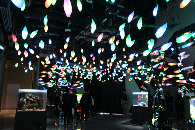 2階の「CAVE－はじまりの洞窟」／AQUARIUM ✕ ART átoa（兵庫県/神戸市）