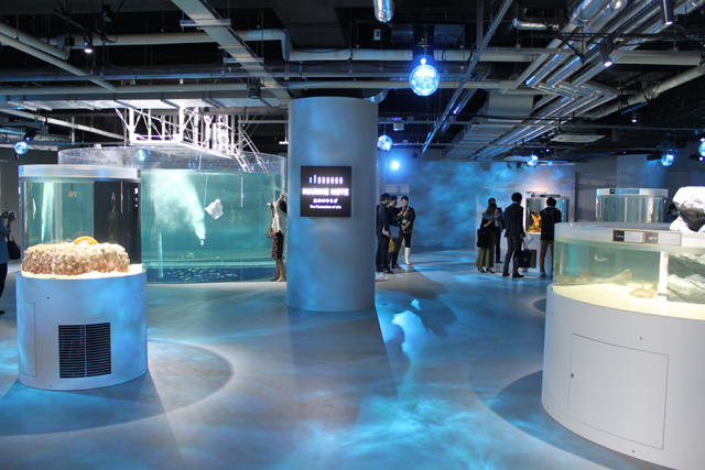 「MARINE NOTE生命のゆらぎ」／AQUARIUM ✕ ART átoa（兵庫県/神戸市）