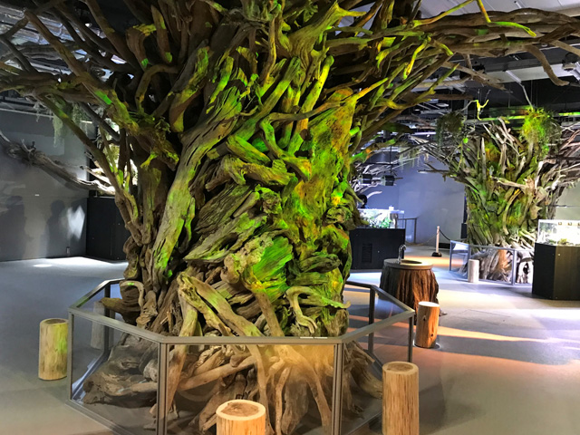 「ELEMENTS－精霊の森」／AQUARIUM ✕ ART átoa（兵庫県/神戸市）