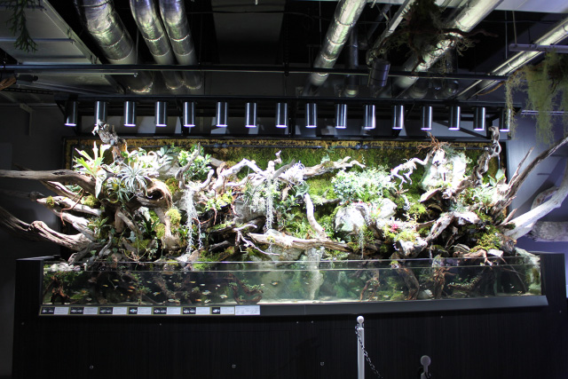 緑化アート「凛音の泉」／AQUARIUM ✕ ART átoa（兵庫県/神戸市）