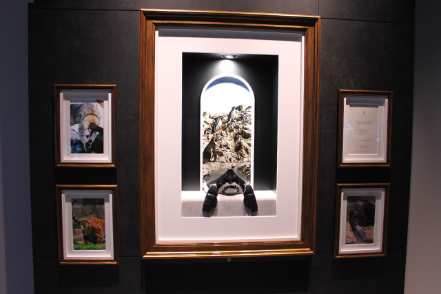 生きものの後ろ姿、かわいいお尻を眺めながら新たな発見を楽しむ「香」／AQUARIUM ✕ ART átoa（兵庫県/神戸市）